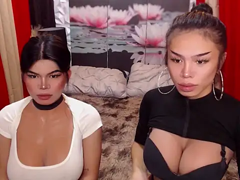 WILDROXIE online show from December 2025 04:39:02 AM