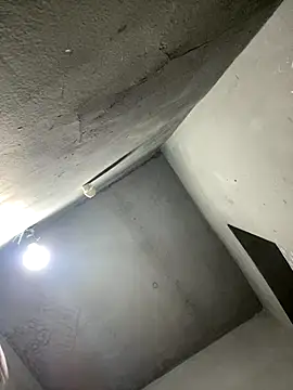 Snapshot of pretaosp chatting on November 2025 12:21:01 AM pretaosp online show from November 2025 12:21:01 AM