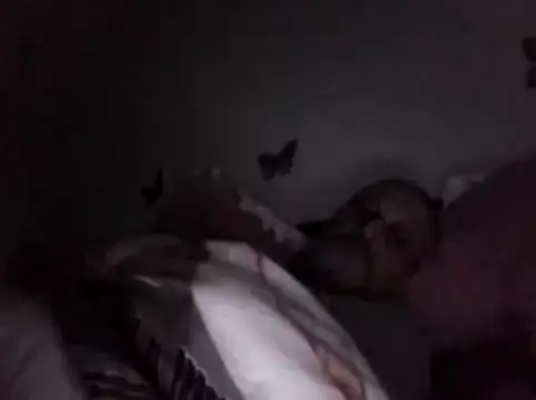 Hisnimin online show from February 2026 03:57:02 AM