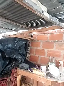 hoteder online show from March 2026 12:20:02 PM