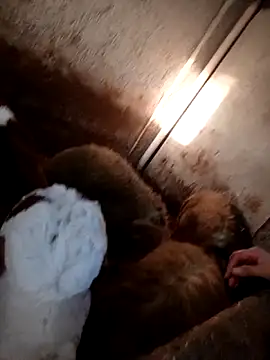 ezgi2545 online show from February 2026 02:39:02 PM