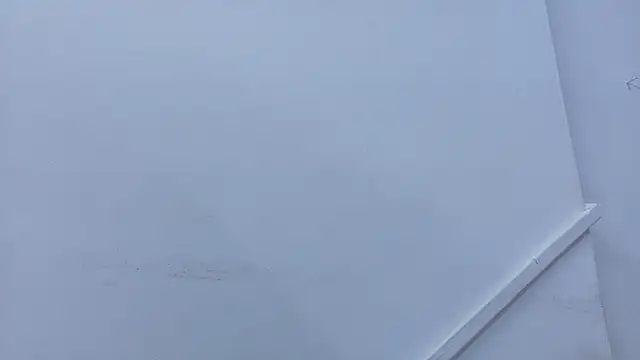 Lizbeth Rouse online show from November 2025 11:34:02 AM