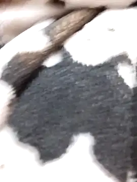 Snapshot of Laxmi_89 chatting on November 2025 03:52:01 AM Laxmi 89 online show from November 2025 03:52:01 AM