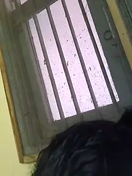 Tamilreethu online show from November 2025 08:04:01 AM