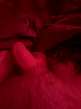 Snapshot of couplefuck__ chatting on December 2025 07:57:02 AM couplefuck online show from December 2025 07:57:02 AM