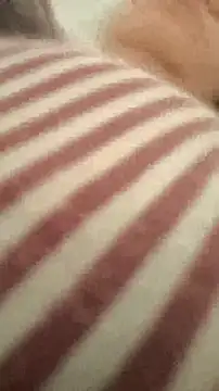 bibi perigoBr online show from September 2025 03:39:01 PM