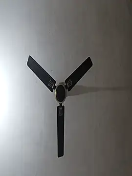 Snapshot of NoxiousFilename chatting on November 2025 05:50:02 AM NoxiousFilename online show from November 2025 05:50:02 AM