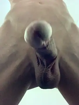 aki 2727 online show from November 2025 01:23:01 PM