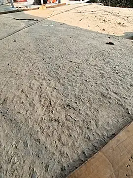 UP16LT5355 online show from November 2025 07:41:02 AM