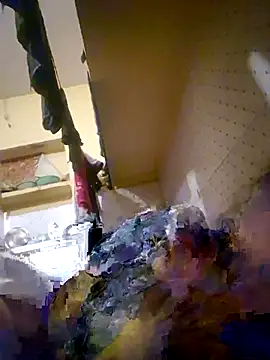 UP16LT5355 online show from December 2025 02:18:01 AM