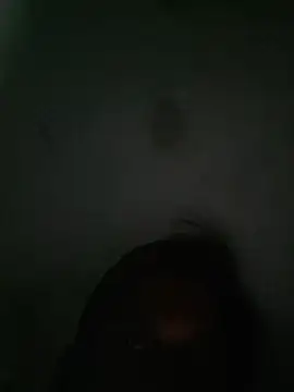 Snapshot of akshant1234 chatting on October 2025 07:22:01 PM akshant1234 online show from October 2025 07:22:01 PM