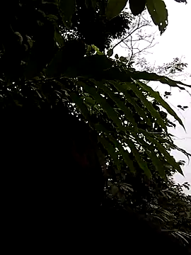 Snapshot of linda_bae00 chatting on November 2025 01:16:01 AM linda bae00 online show from November 2025 01:16:01 AM