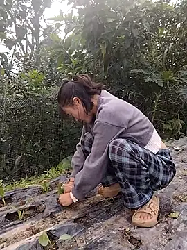 Snapshot of linda_bae00 chatting on November 2025 01:58:02 AM linda bae00 online show from November 2025 01:58:02 AM