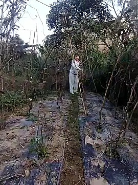 Snapshot of linda_bae00 chatting on November 2025 12:46:02 AM linda bae00 online show from November 2025 12:46:02 AM