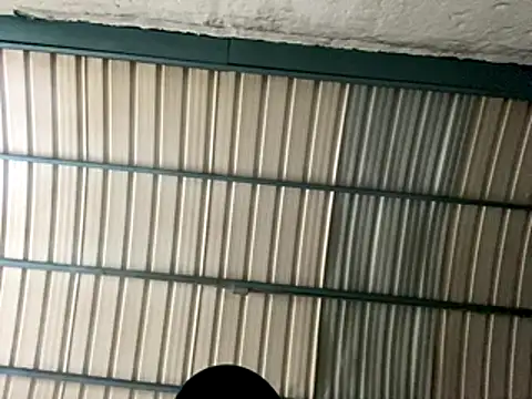 Snapshot of rider239 chatting on October 2025 09:28:01 AM rider239 online show from October 2025 09:28:01 AM