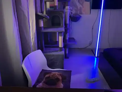 davesinner online show from March 2026 07:15:01 AM