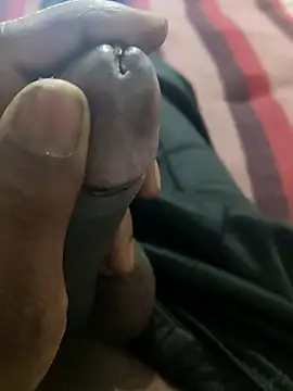 tupha232 online show from March 2026 08:31:02 AM