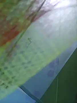 Snapshot of Apkisona8 chatting on September 2025 04:21:02 PM Apkisona8 online show from September 2025 04:21:02 PM