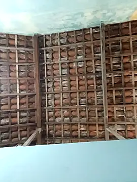 NegroAracaju online show from April 2026 12:11:02 AM