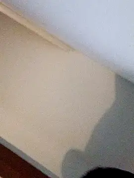 Andrez5041 online show from October 2025 04:02:01 AM