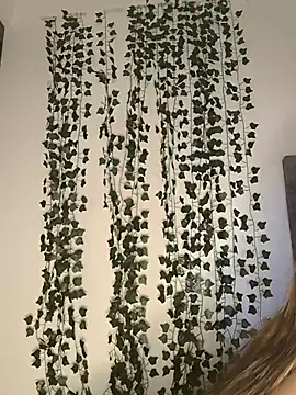 Snapshot of butterfly777_ chatting on January 2026 08:41:01 AM butterfly777 online show from January 2026 08:41:01 AM