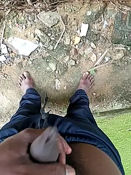 dolphiinn online show from December 2025 04:18:02 AM