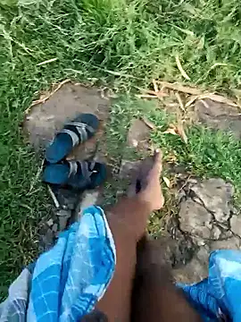 dolphiinn online show from January 2026 02:03:02 AM