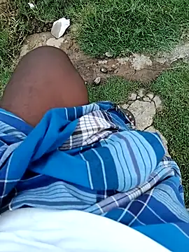 dolphiinn online show from March 2026 06:28:01 AM