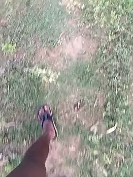 dolphiinn online show from March 2026 01:00:01 AM