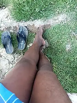 dolphiinn online show from March 2026 11:10:01 AM