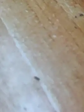 Markroco696 online show from October 2025 04:24:02 AM