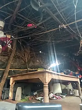 cute diya 12 online show from November 2025 03:28:01 AM