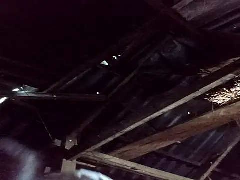  Helala  online show from October 2025 11:21:02 PM