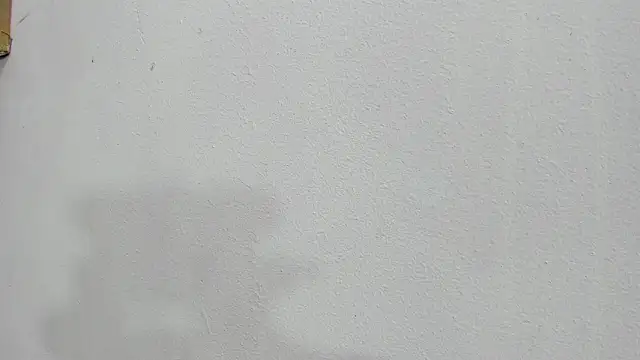 scarlett646 online show from October 2025 03:03:02 AM