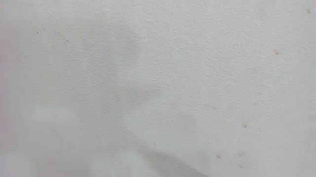 scarlett646 online show from December 2025 03:05:01 AM