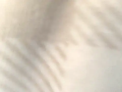 Snapshot of Tishrella6 chatting on September 2025 07:25:02 PM Tishrella6 online show from September 2025 07:25:02 PM