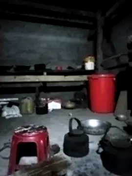 venu00 online show from February 2026 02:31:01 PM