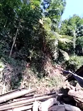 Snapshot of miss-su chatting on February 2026 07:46:02 AM miss-su online show from February 2026 07:46:02 AM