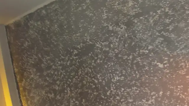 Julieth brown  online show from December 2025 07:54:02 PM