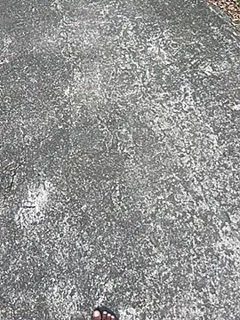 Senurak99 online show from November 2025 07:03:02 AM