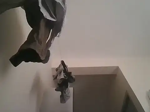 Snapshot of king_godgm chatting on November 2025 07:33:02 AM king godgm online show from November 2025 07:33:02 AM