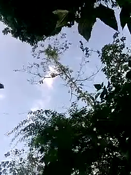 Snapshot of susi-love00 chatting on October 2025 02:25:02 AM susi-love00 online show from October 2025 02:25:02 AM