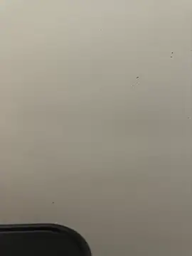 moneymarcii online show from February 2026 09:39:02 AM