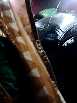 Billo rany online show from November 2025 11:19:02 PM