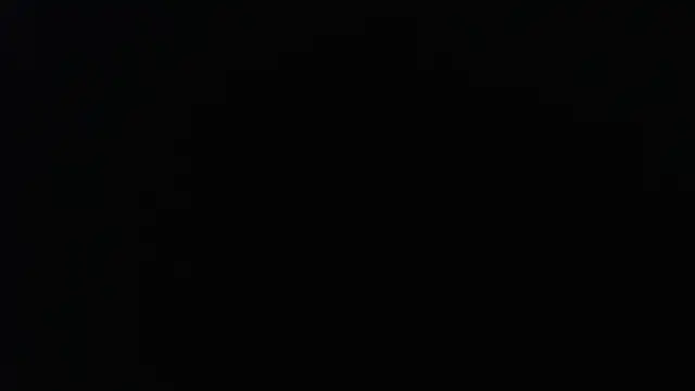 knodli online show from November 2025 11:32:02 AM