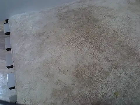 cem07060 online show from October 2025 07:34:02 PM