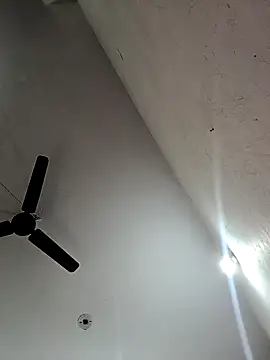 Appypie online show from November 2025 06:36:02 AM