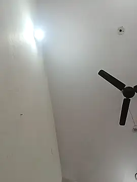 Appypie online show from December 2025 07:38:01 AM