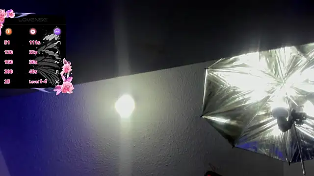 Snapshot of Hanna_wish chatting on November 2025 01:34:02 PM Hanna wish online show from November 2025 01:34:02 PM