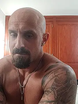 Visto36 online show from July 2026 04:00:02 AM